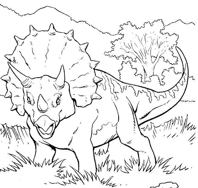   Трицератопс растительноядный динозавр