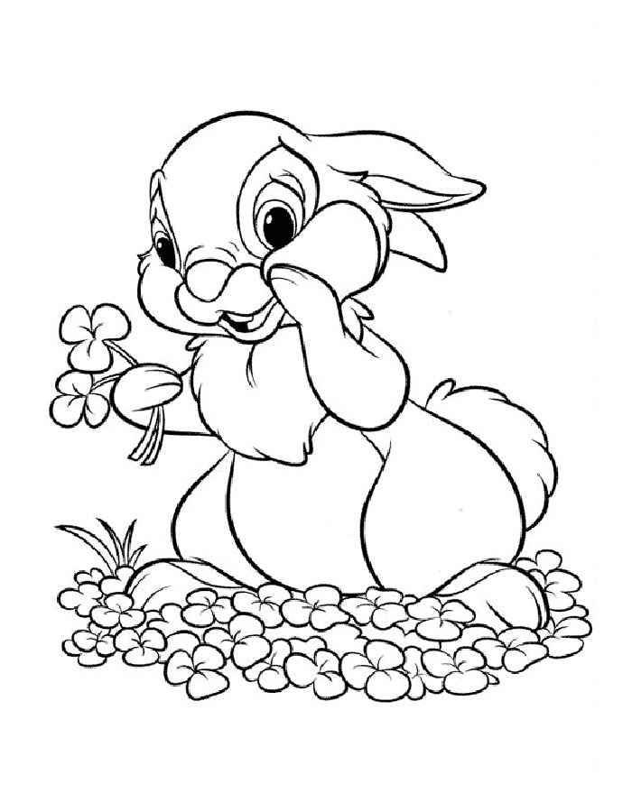 Раскраски зайчата и зайцы  Рисунок зайчика с цветочками