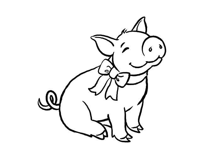   Свинка с бантиком