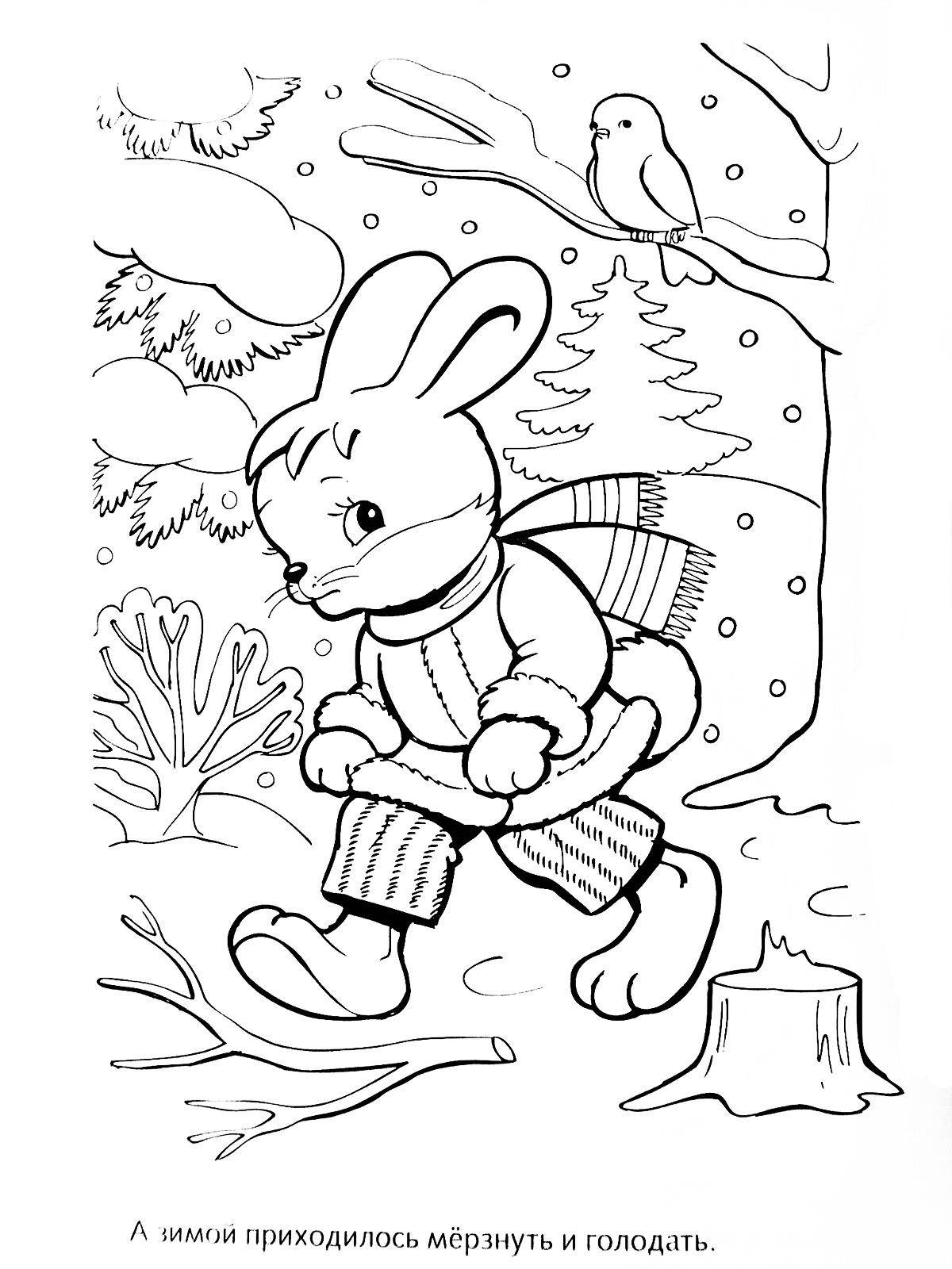 Раскраски зайчата и зайцы  Рисунок зайчика в зимнем лесу