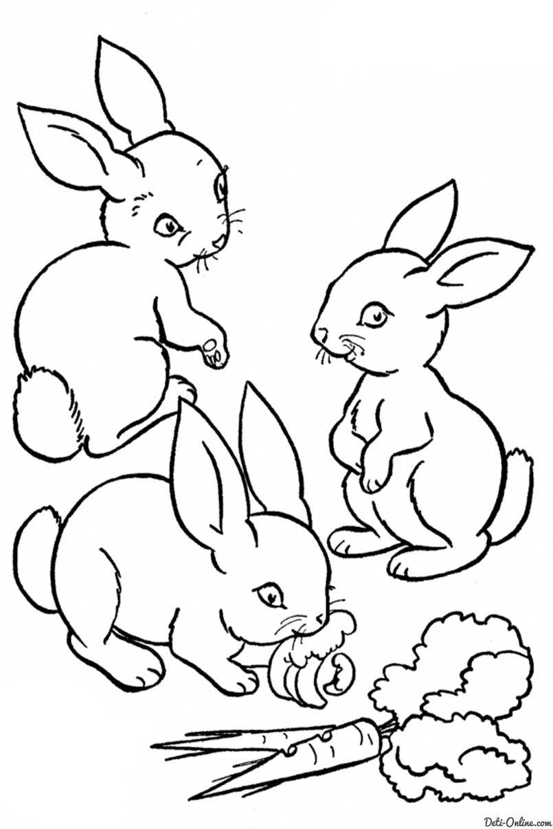 Раскраски зайчата и зайцы  Рисунок зайчики