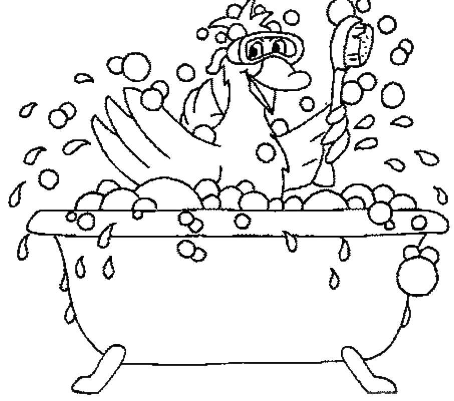   Утка купается в ванне