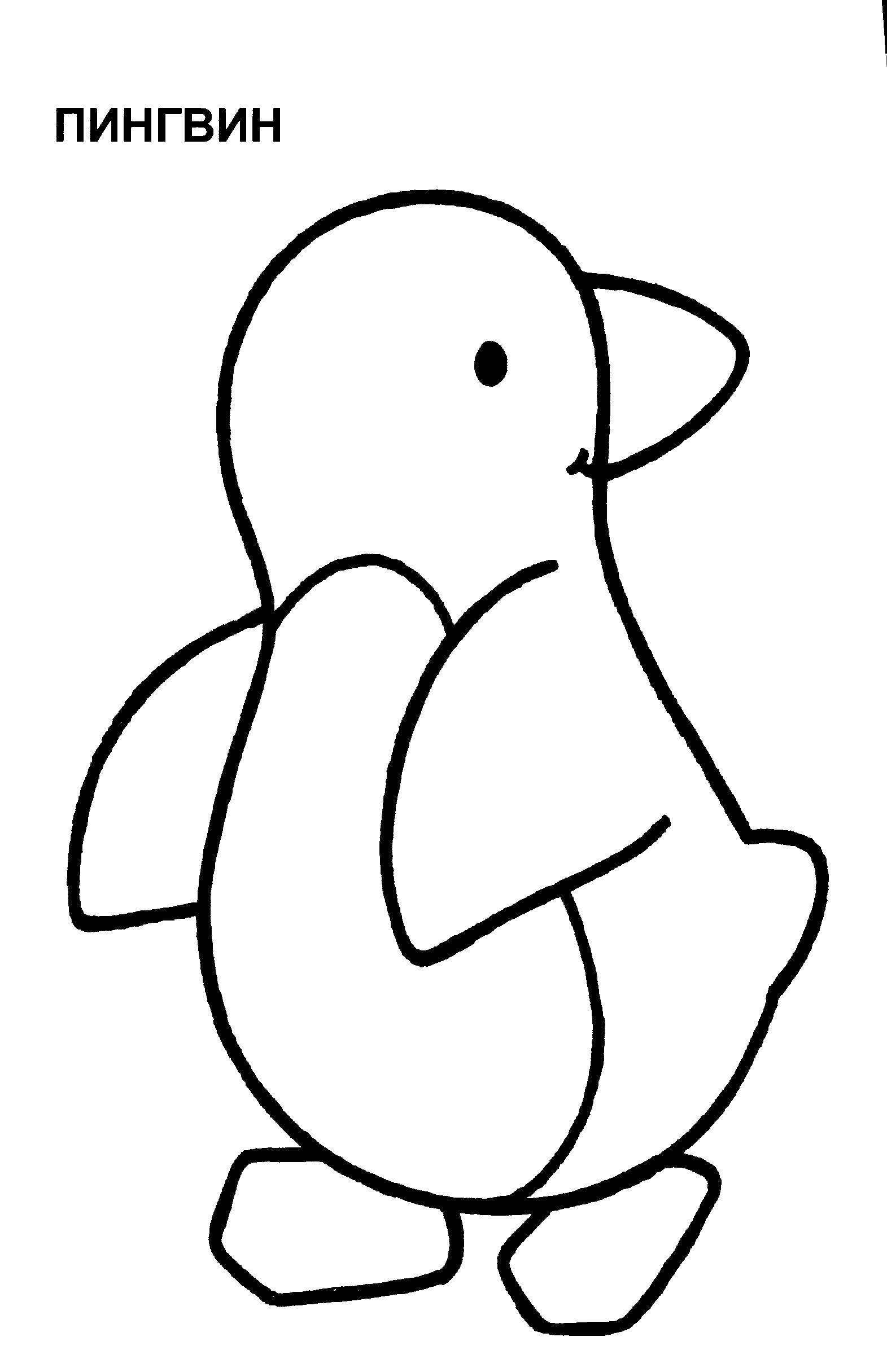 Раскраска с пингвинами  Пингвин