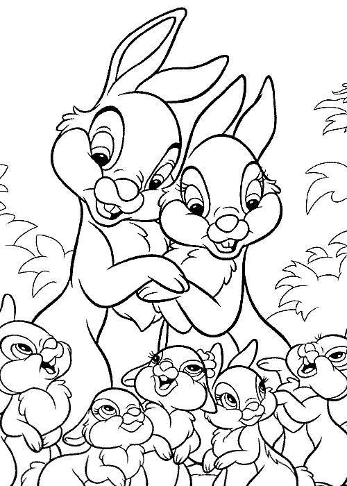 Раскраски зайцы  Рисунок семьи зайцев