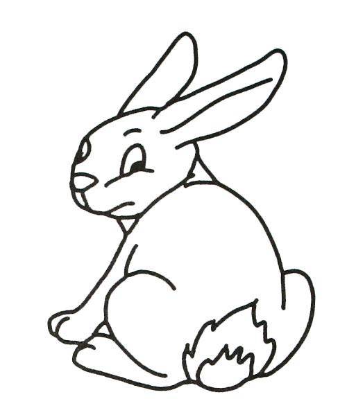 Раскраски зайчата и зайцы  Рисунок зайчика