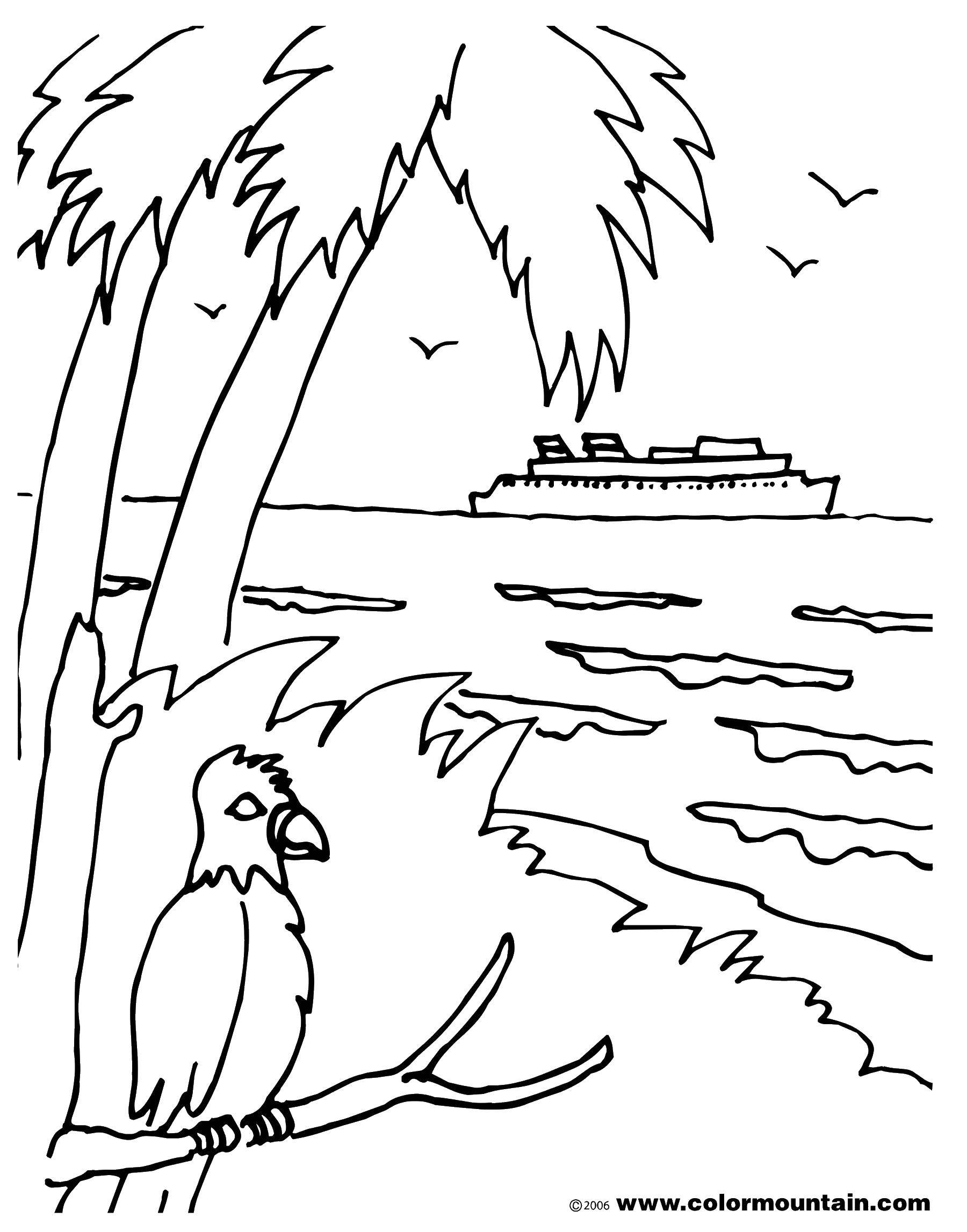 Раскраска попугай  Попугай наблюдает за пароходом