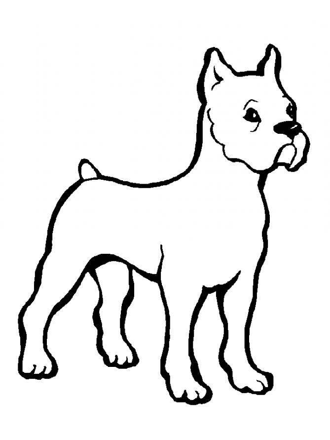   Рисунок собаки