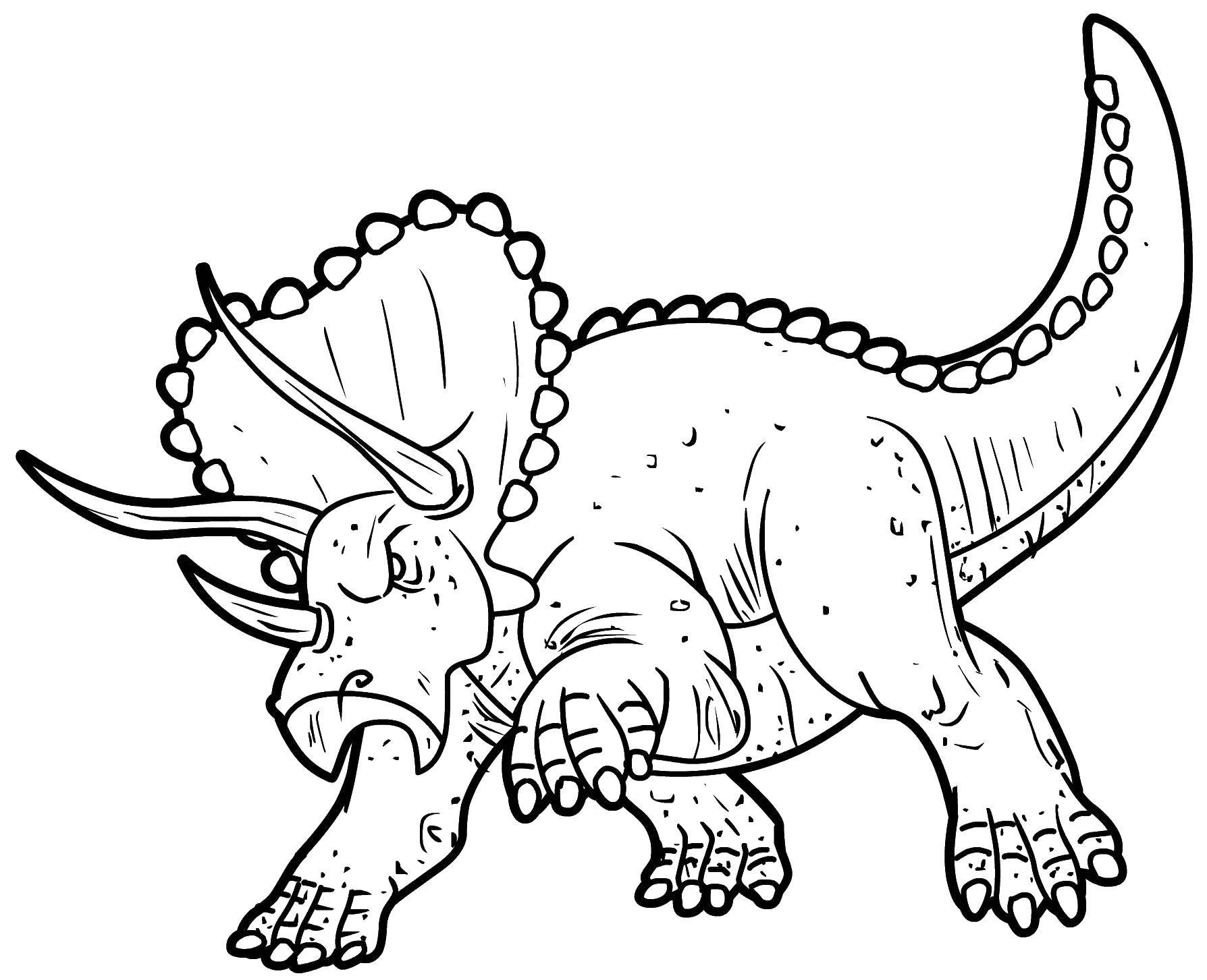   Трицератопс род растительноядных динозавров