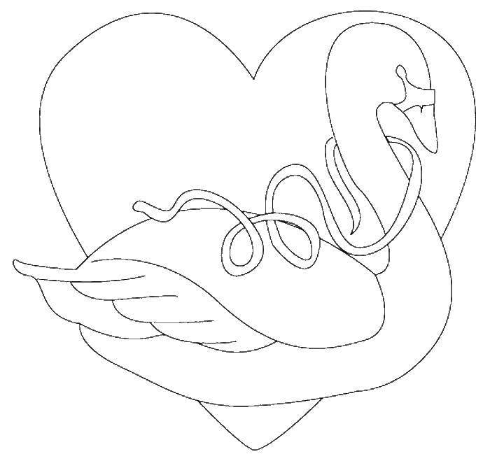 Раскраска лебедь  Лебедь с лентой и сердце