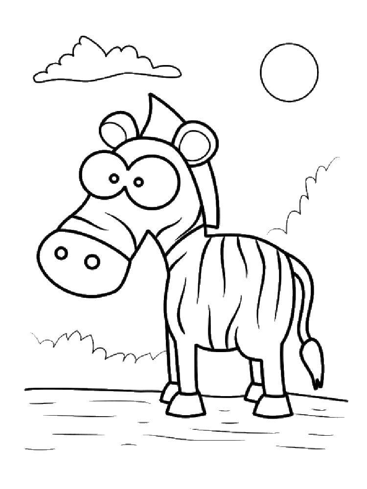 Раскраски зебры  Зебра на солнышке