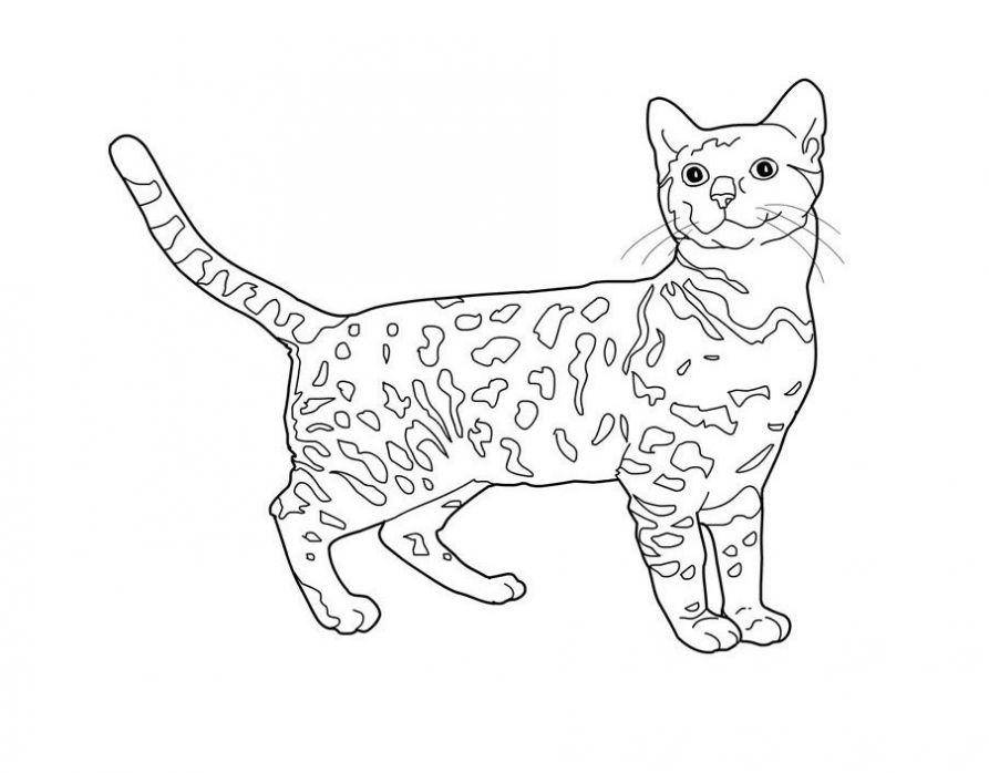   Рисунок пятнистого кота