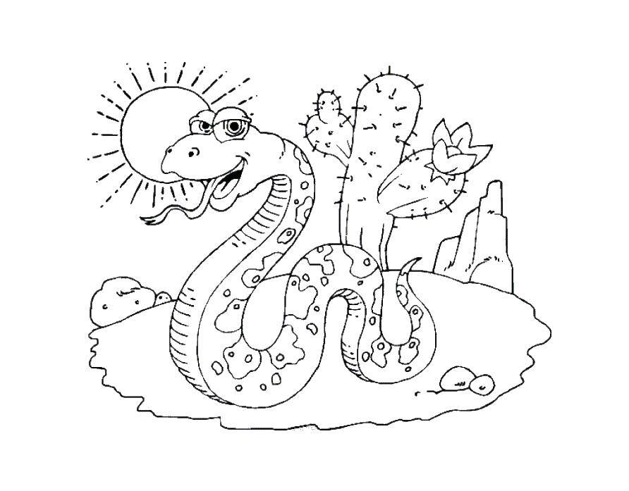 Раскраски змея  Змея в пустыне с кактусом