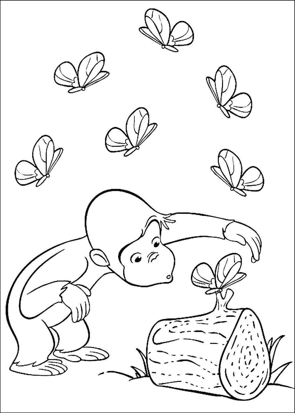   Бабочки и обезьянка