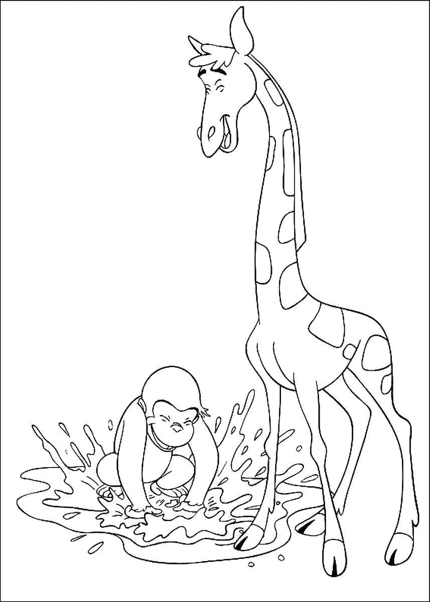 Раскраски жираф  Обезьянка и жираф играют