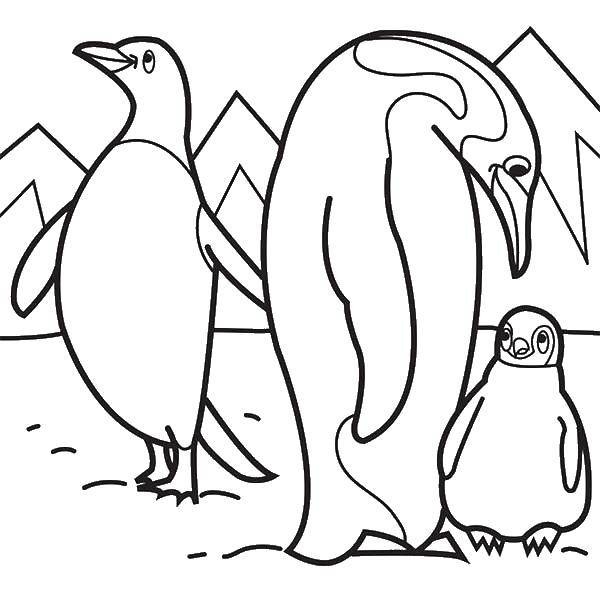 Раскраска с пингвинами  Пингвиний остров