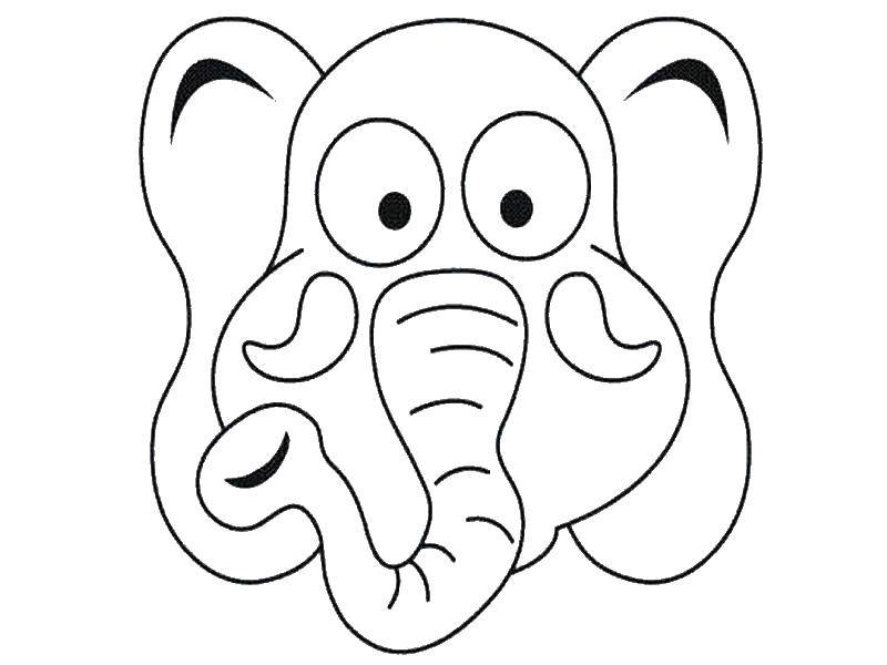   Морда  слона