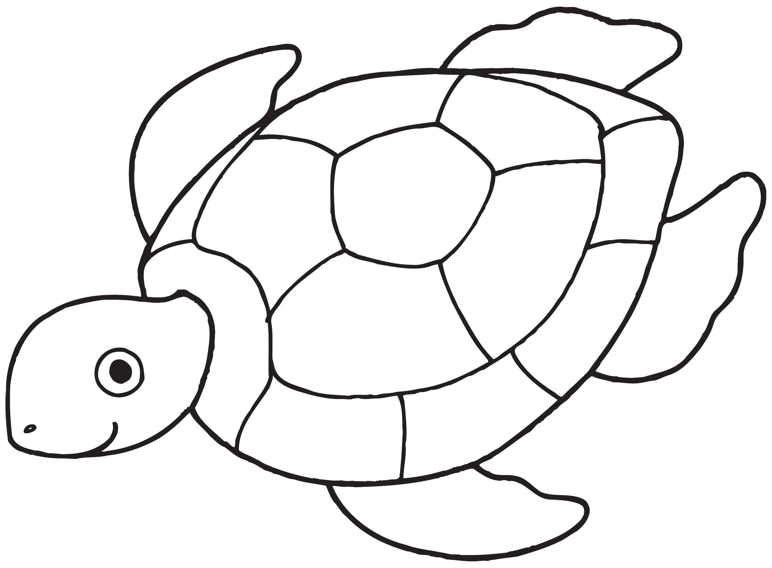   Плавающая черепаха