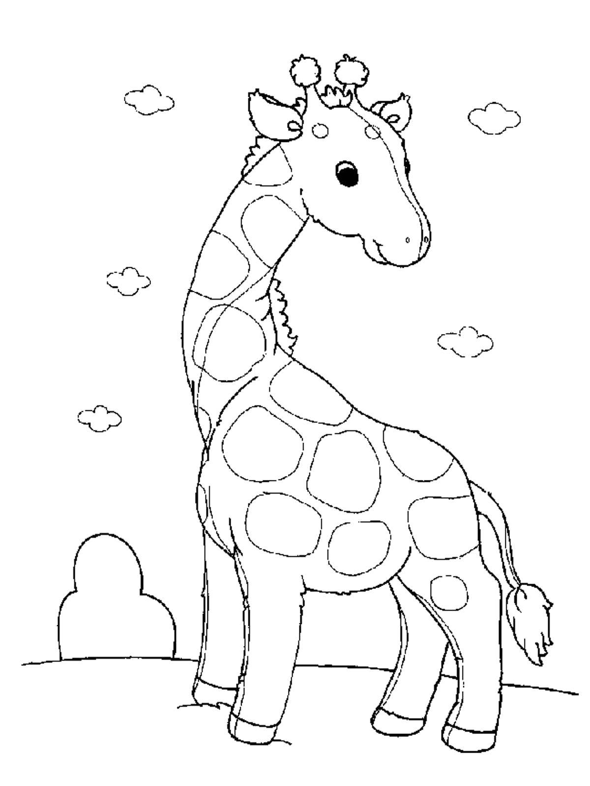 Раскраски жираф  Маленький пятнистый жираф