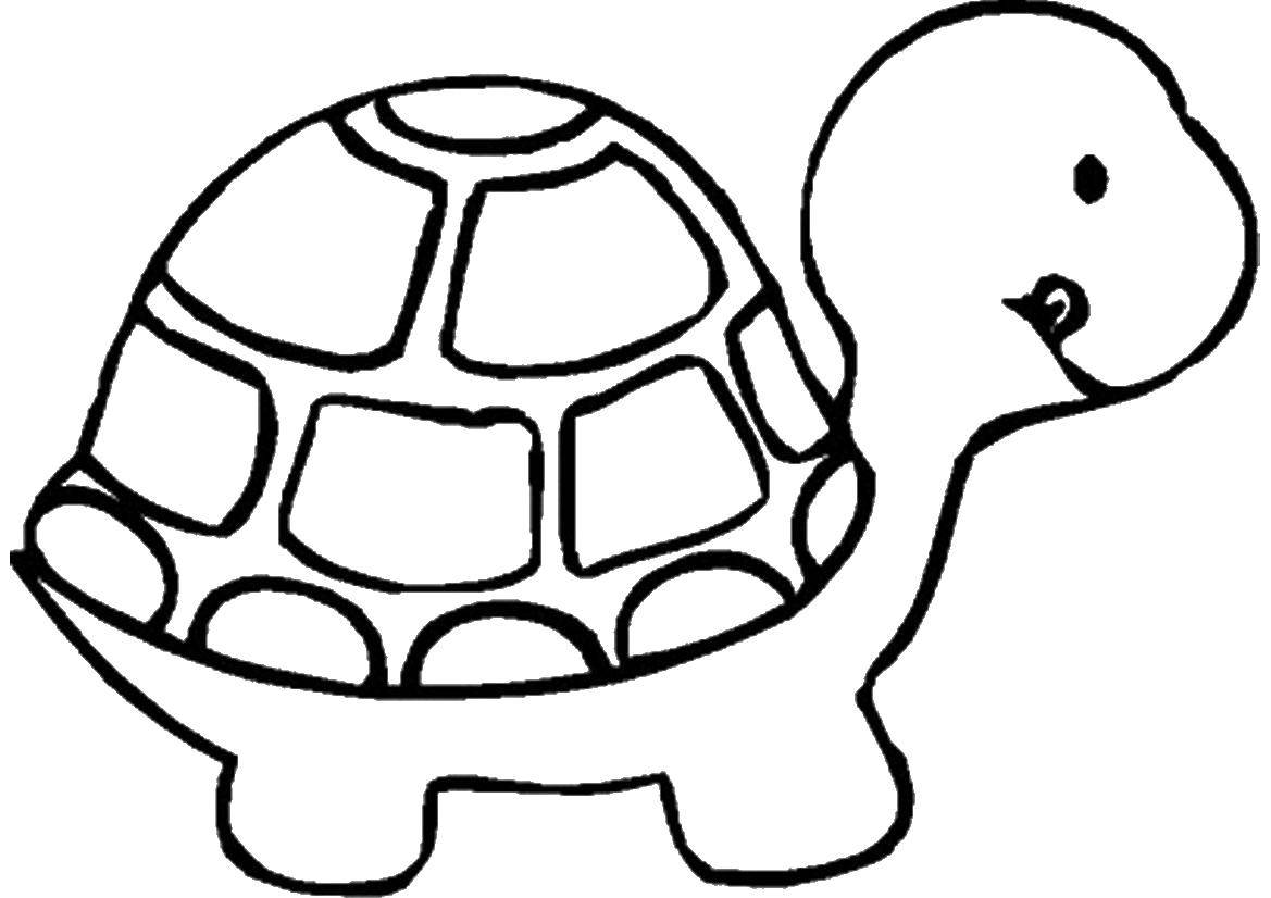 Раскраски черепаха  Пакемон - черепашка