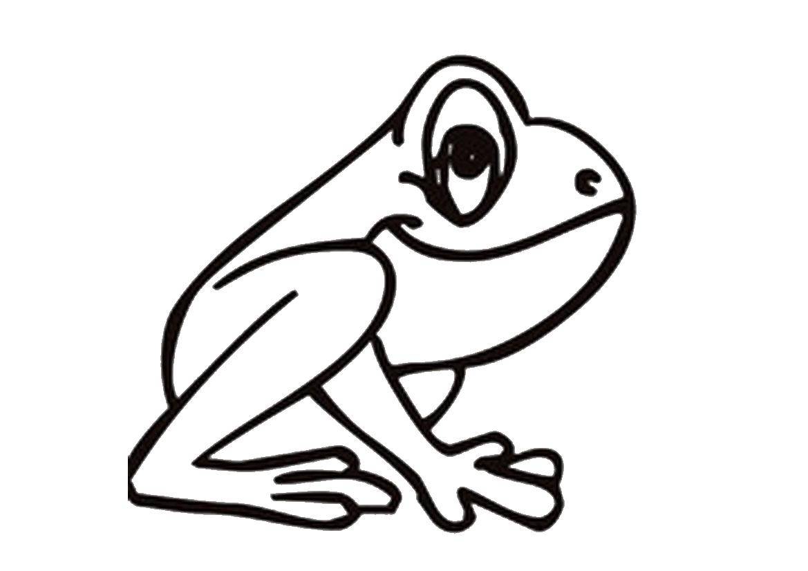 Раскраски лягушки, жабы  Веселый лягушонок
