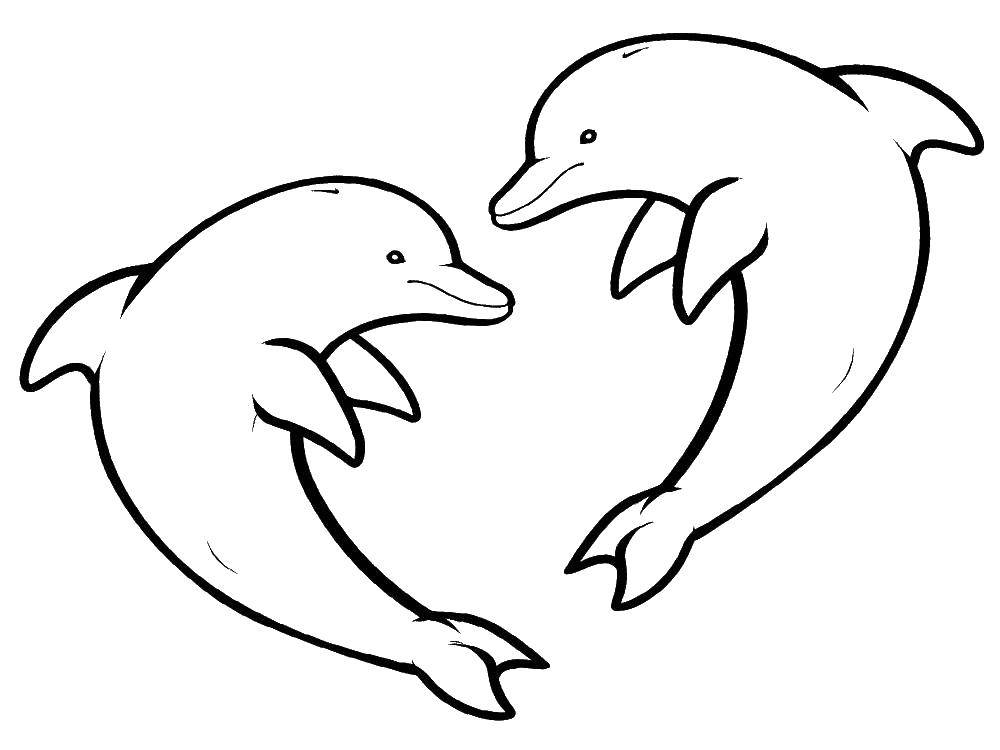   Два дельфина в сердце