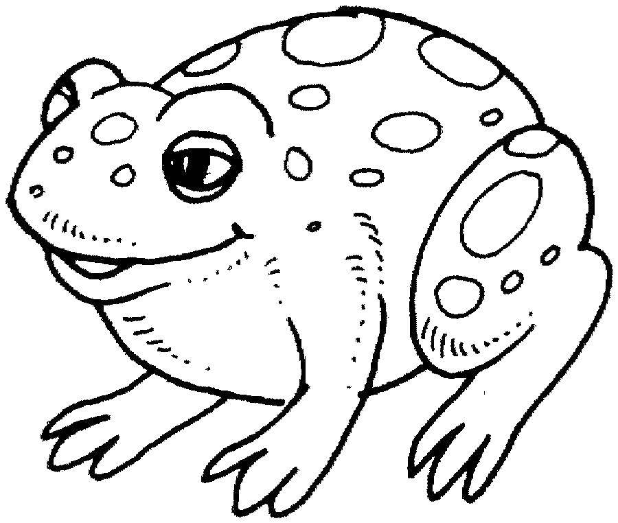 Раскраски лягушки, жабы  Хитрый лягушонок