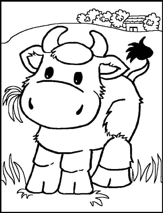 Раскраски домашняя корова  Коровка ест травку на лугу