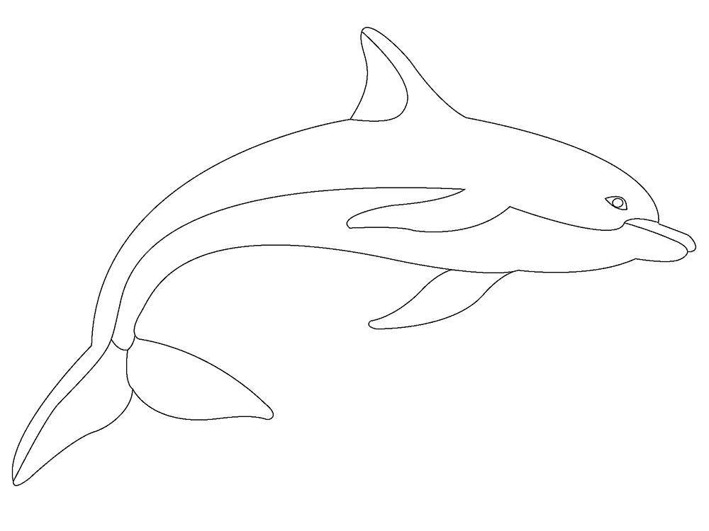   Шаблон дельфина