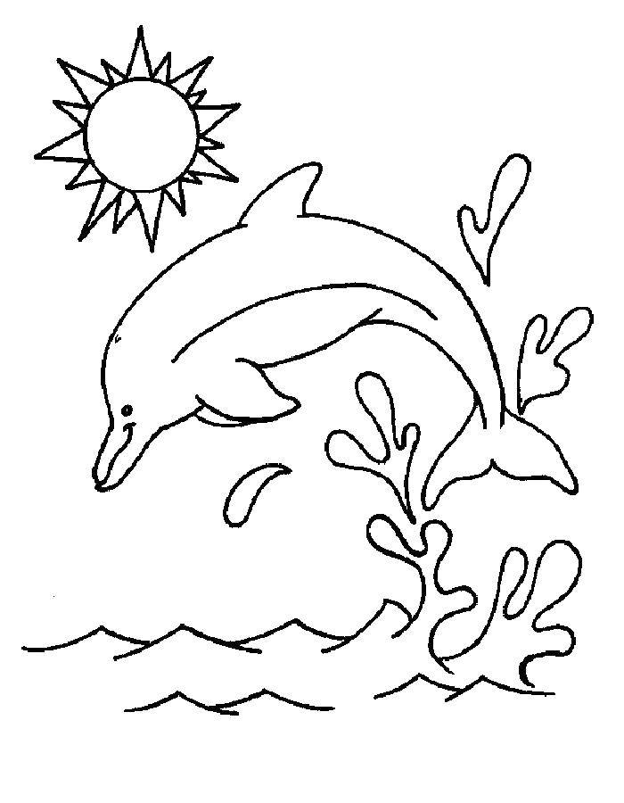   Солнце и дельфин