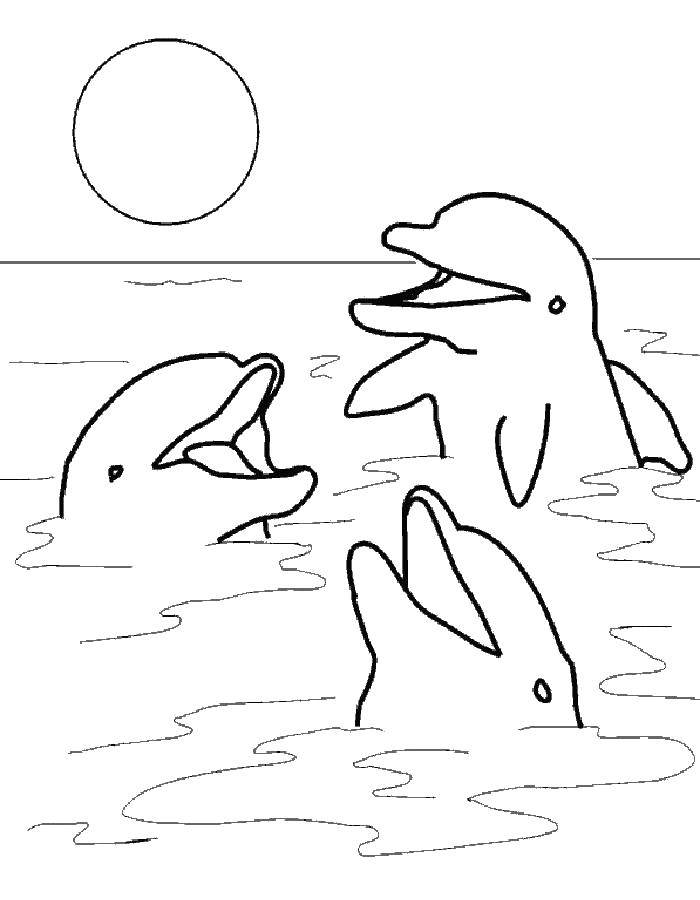   Три дельфина и солнце