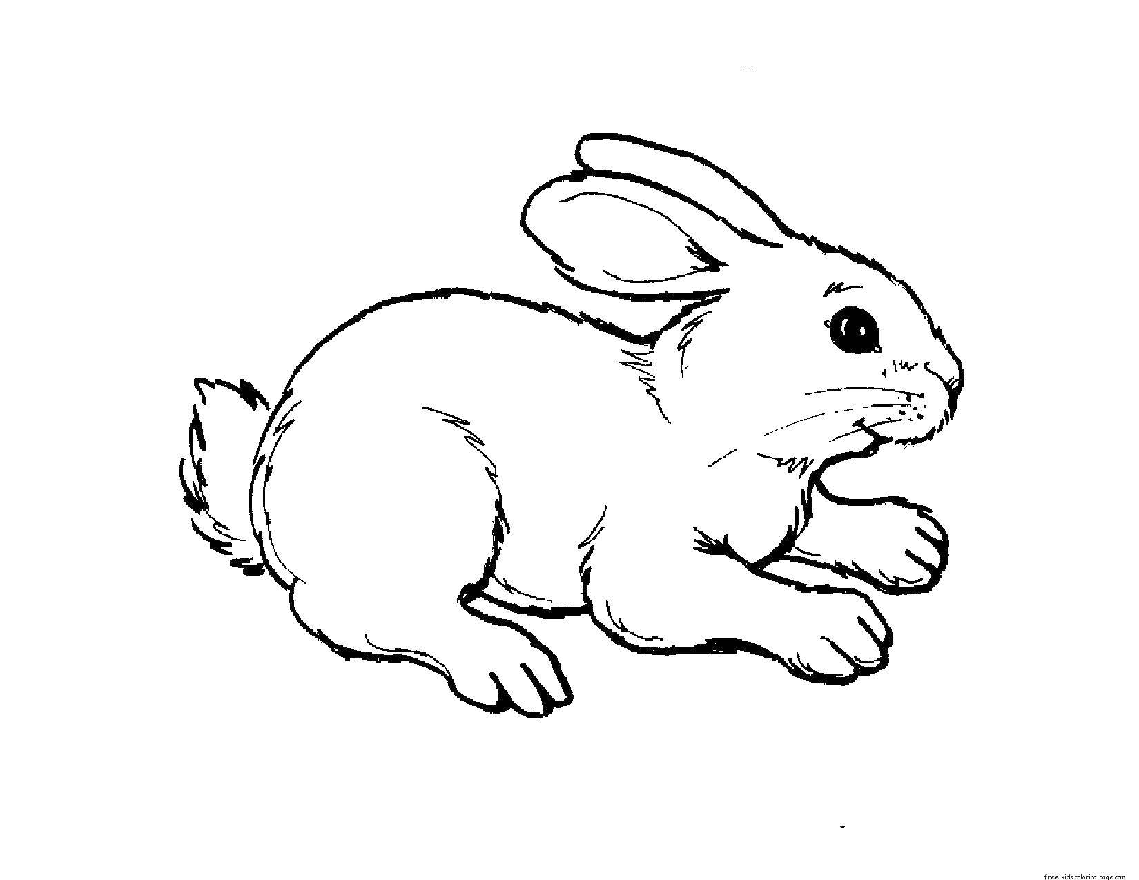 Раскраски зайчата и зайцы  Трусливый зайчишка