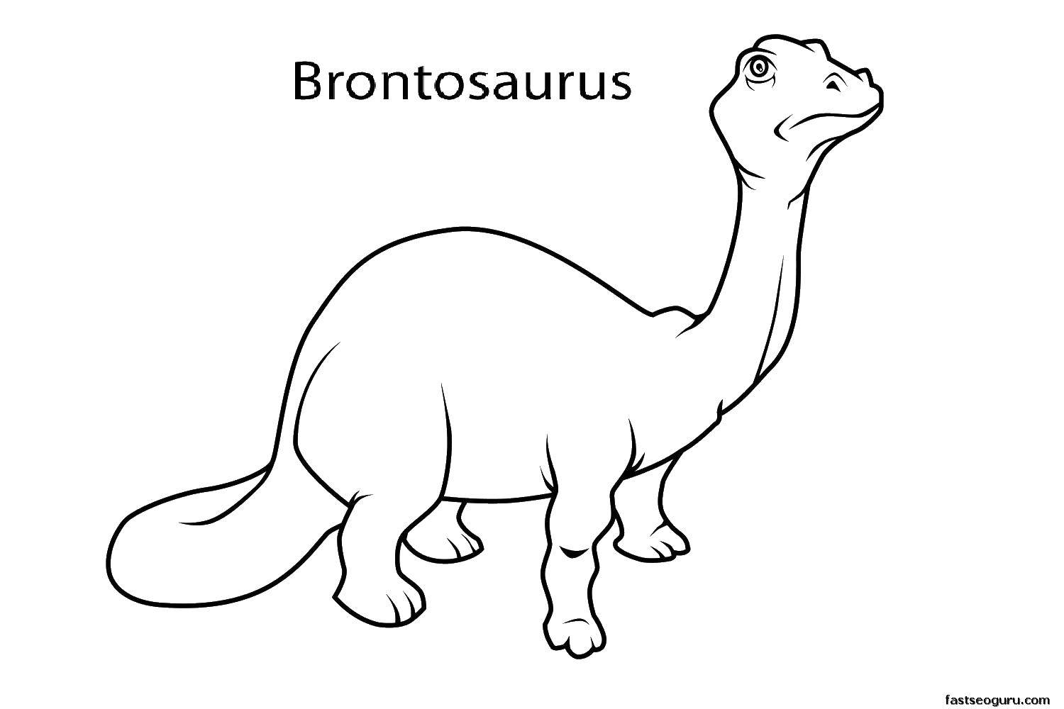   Маленький бронтозавр