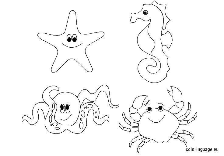   Краб, морской конек, звезда и осьминог