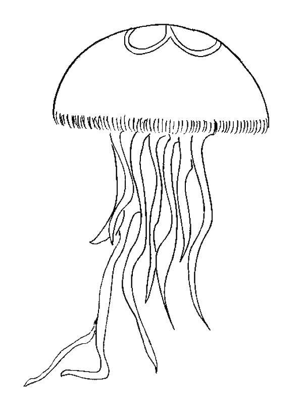   Медуза с множеством щупалец