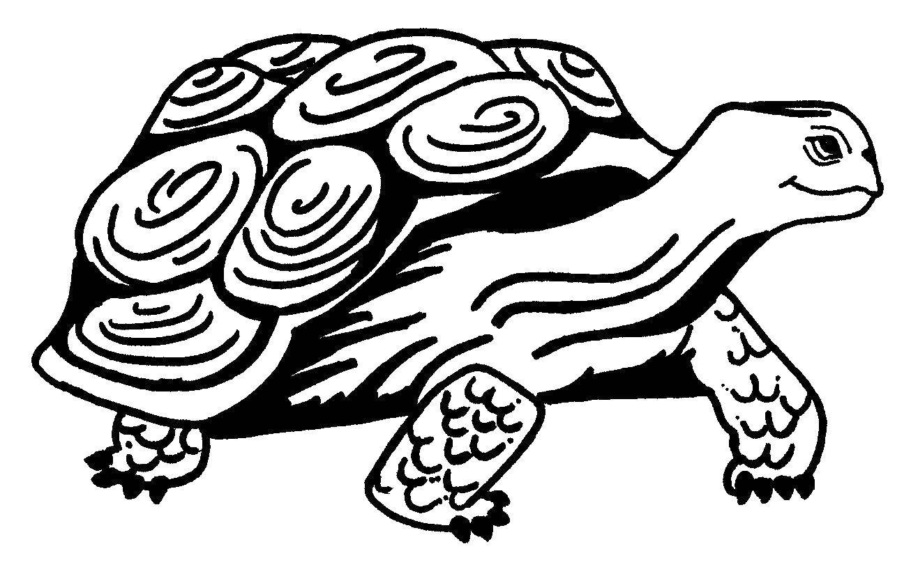   Черепаха с длиной шеей
