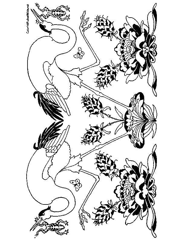 Раскраска с журавлем  Журавли и цветы
