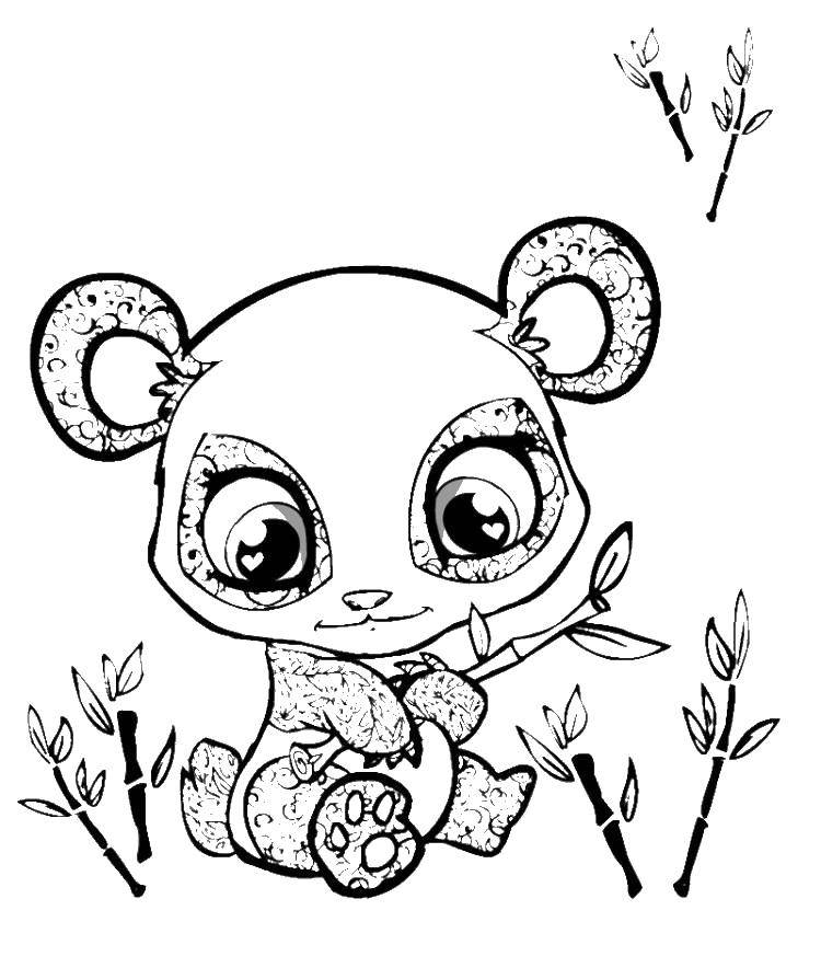 Раскраски панда  Маленькая панда и бамбук