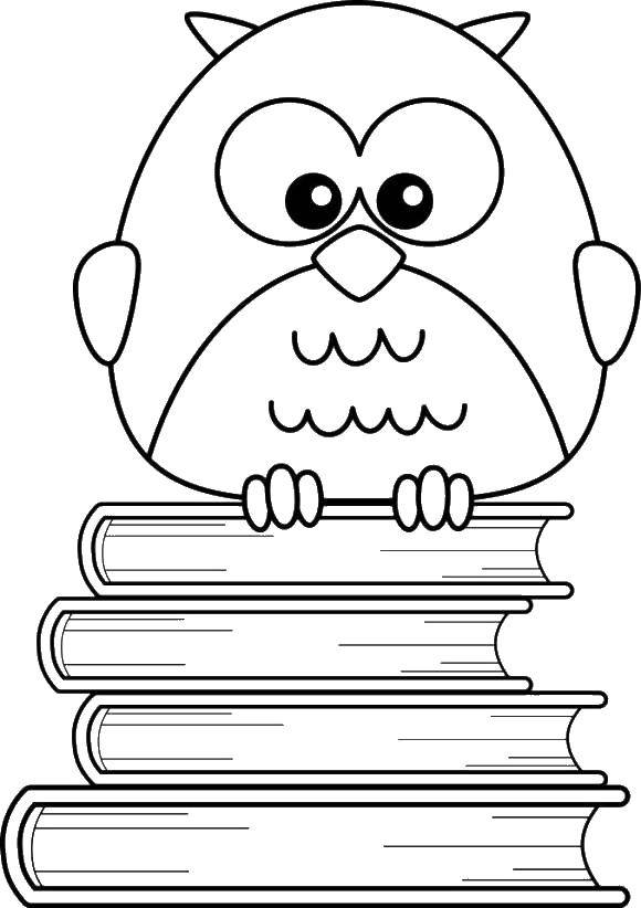   Мудрая сова сидит на книгах
