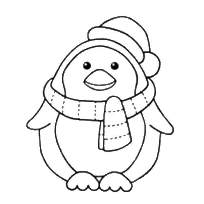 Раскраска с пингвинами  Пингвинчик в шапочке и шарфе