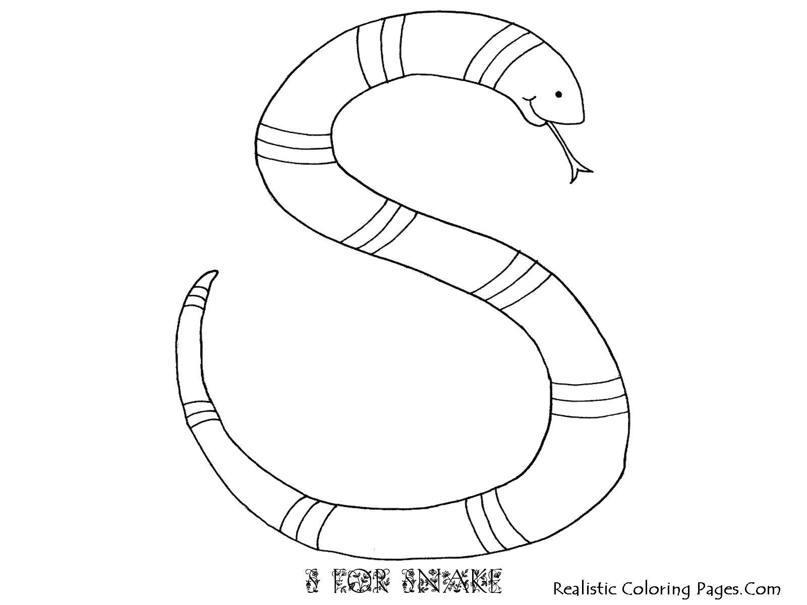 Раскраски змея  Буква s в виде змеи