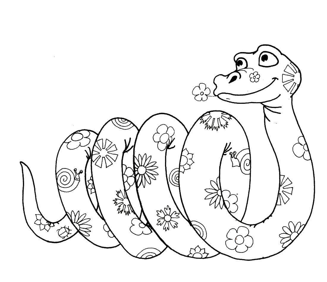Раскраски змея  Змея в цветочек