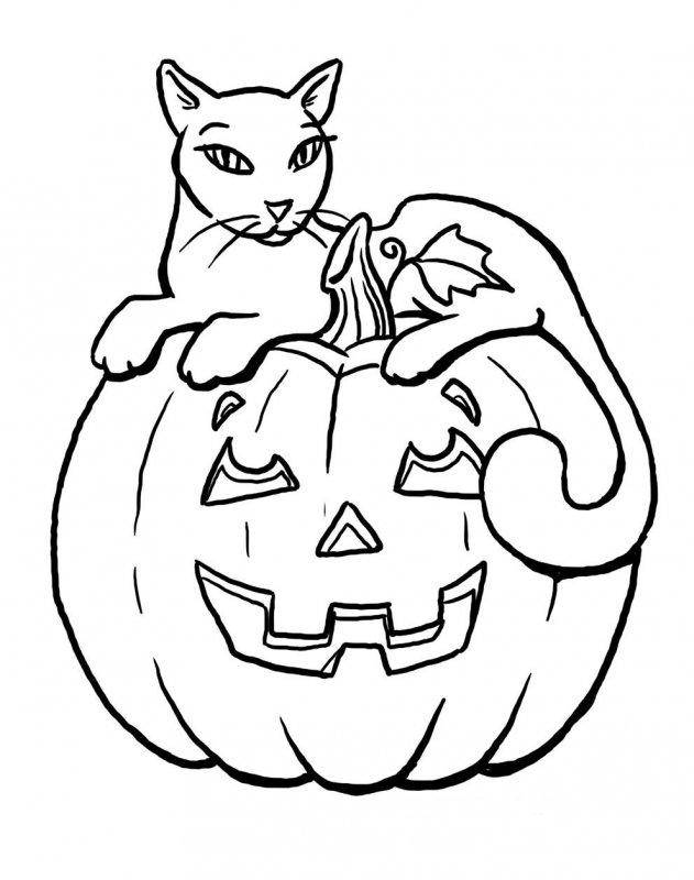   Рисунок кошка на хэллуин