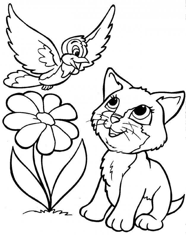   Рисунок котенок и птичка