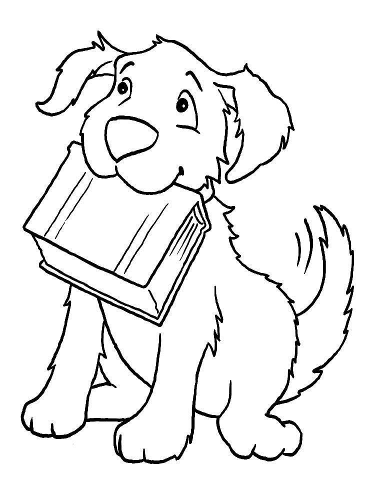   Рисунок собака принесла книгу