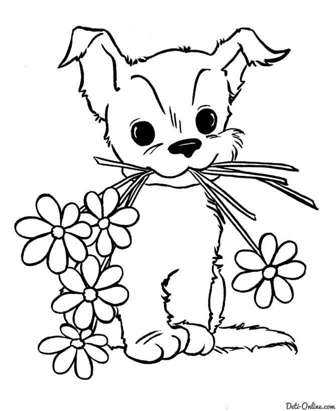   Рисунок щенок с цветком