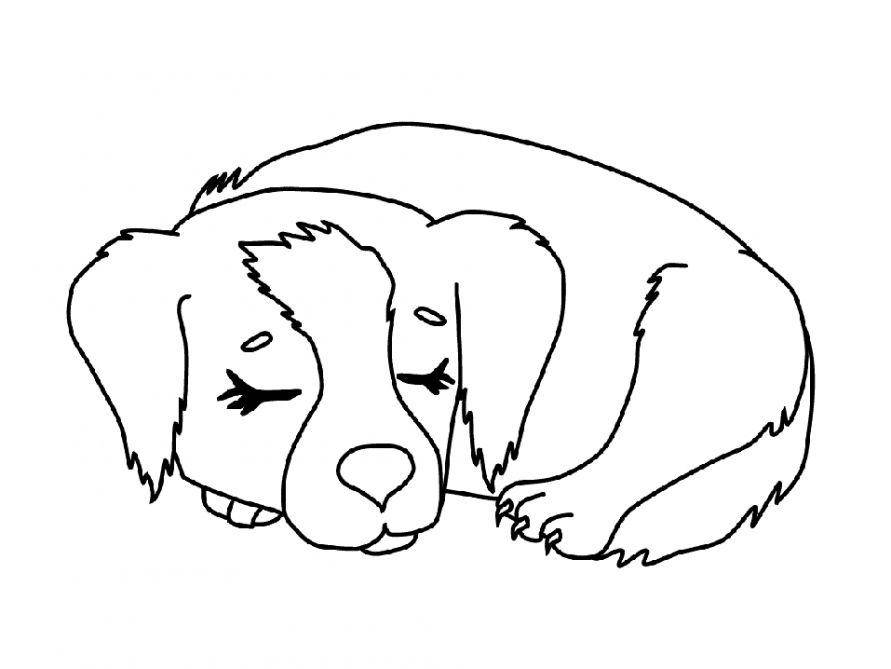   Рисунок спящая собака