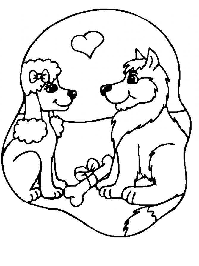   Рисунок влюбленные собаки