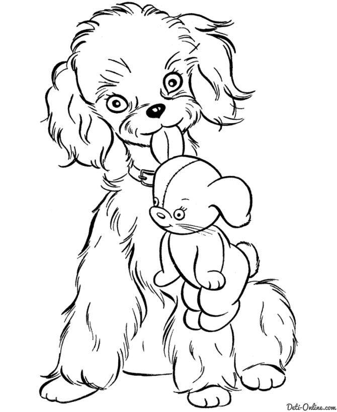   Рисунок собаки с игрушкой
