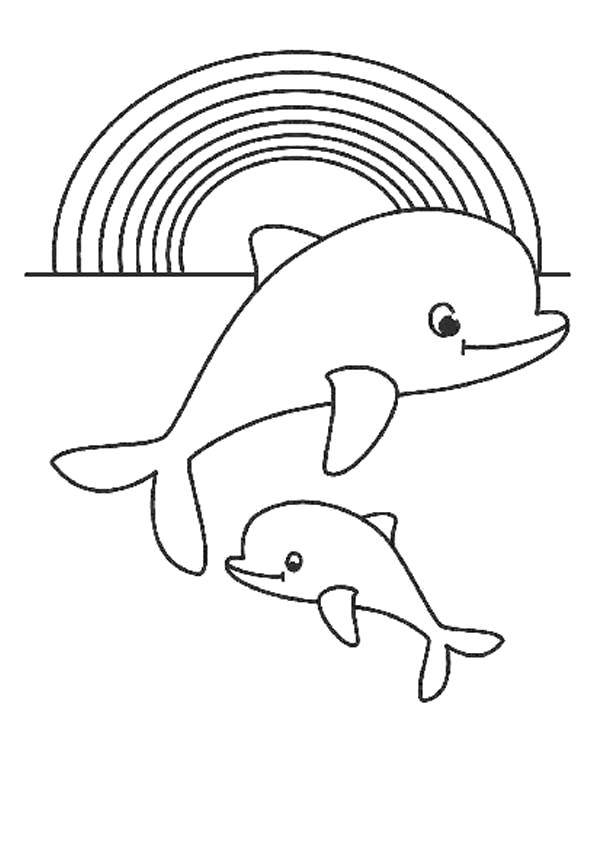   Дельфинчики у радуги