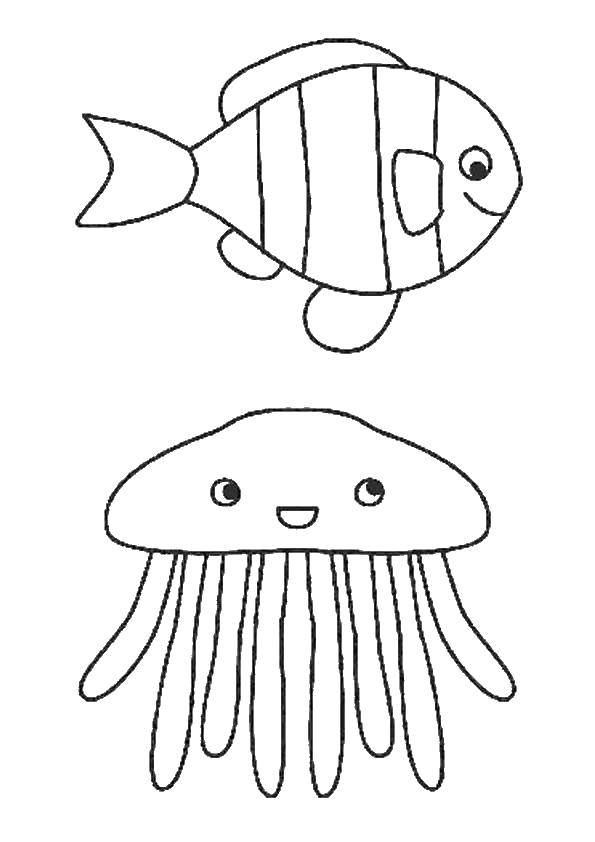   Медуза и рыбы